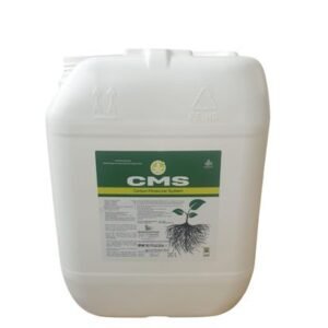 CMS-Carbon Moleculer System