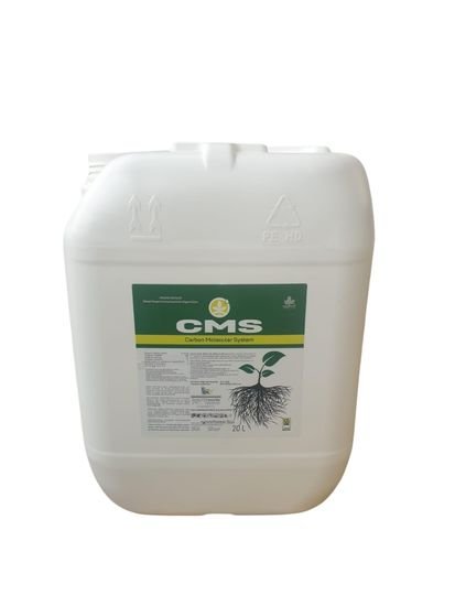 CMS-Carbon Moleculer System